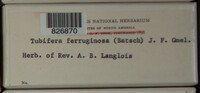 Image Associated With the Occurence
